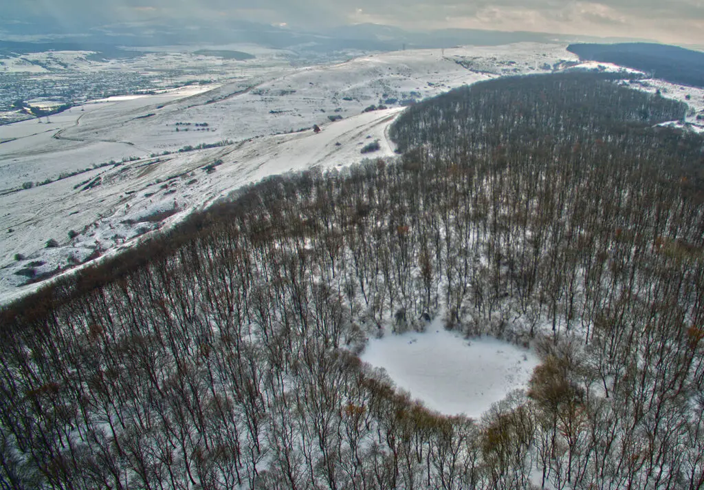 Snow-covered hillside with a circular treeline clearing in the foreground and distant snow fields in the background.
