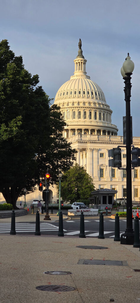 Capitol dome rising behind a street intersection with trees and lampposts in the foreground.