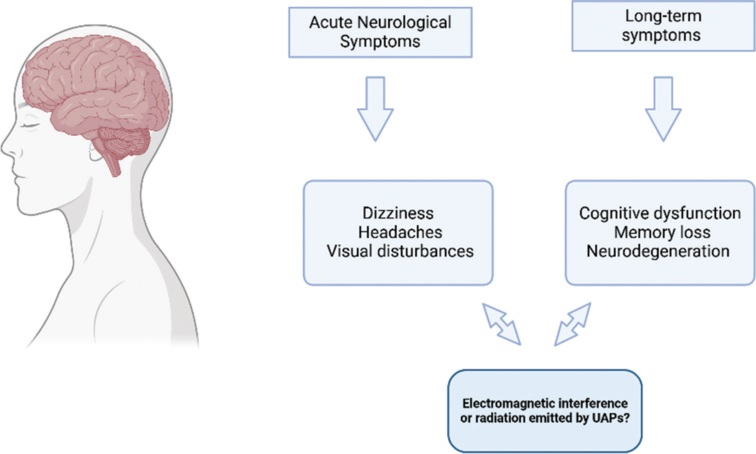image - UAPedia Side view of a human head with a pink brain; a flowchart shows Acute Neurological Symptoms leading to dizziness, headaches, and visual disturbances, and Long-term Symptoms leading to cognitive dysfunction, memory loss, and neurodegeneration, both paths pointing to a final box labeled 'Electromagnetic interference or radiation emitted by UAPs?'